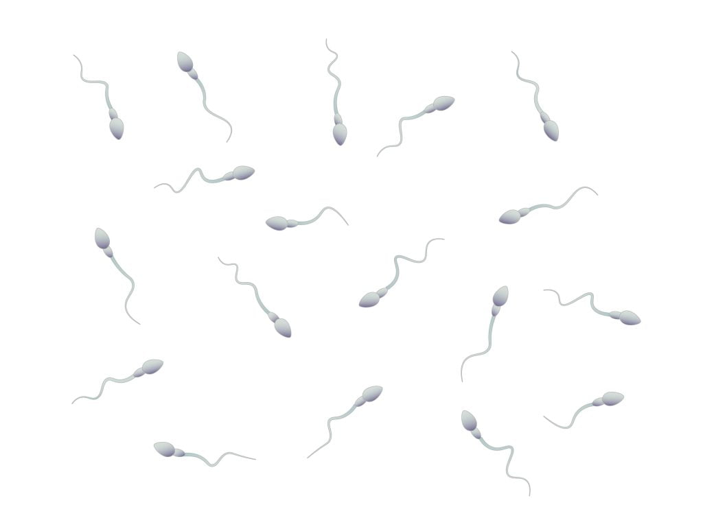 男性不妊の検査方法